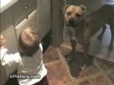 Vid�o De l'ordre et de la discipline, non mais!